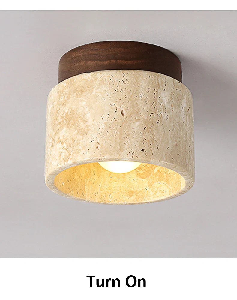 Ovidus plafondlamp | stijlvol | functioneel