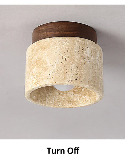 Ovidus plafondlamp | stijlvol | functioneel