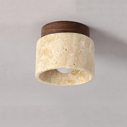 Ovidus plafondlamp | stijlvol | functioneel