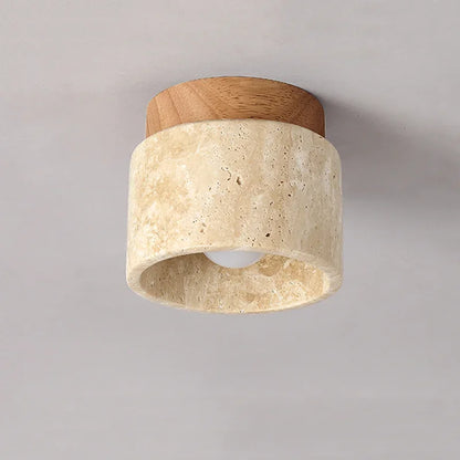 Ovidus plafondlamp | stijlvol | functioneel