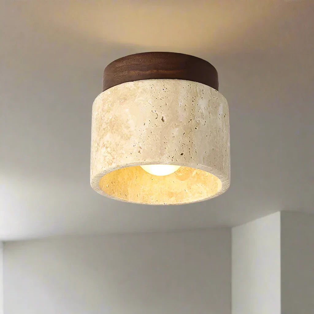 Ovidus plafondlamp | stijlvol | functioneel