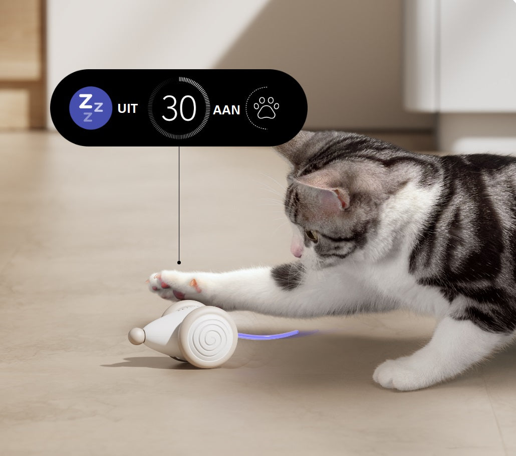 Kattenspeelgoed Kauwbestendig Speeltje voor Katten WhiskerPlay