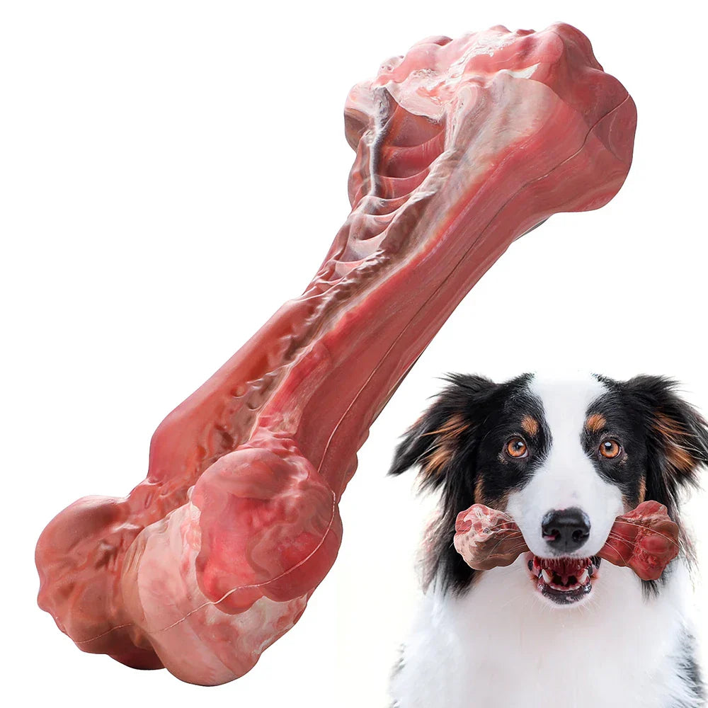 Hondentandverzorger Speels en Leuk voor BuddyChew