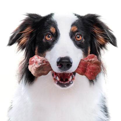 Hondentandverzorger Speels en Leuk voor BuddyChew