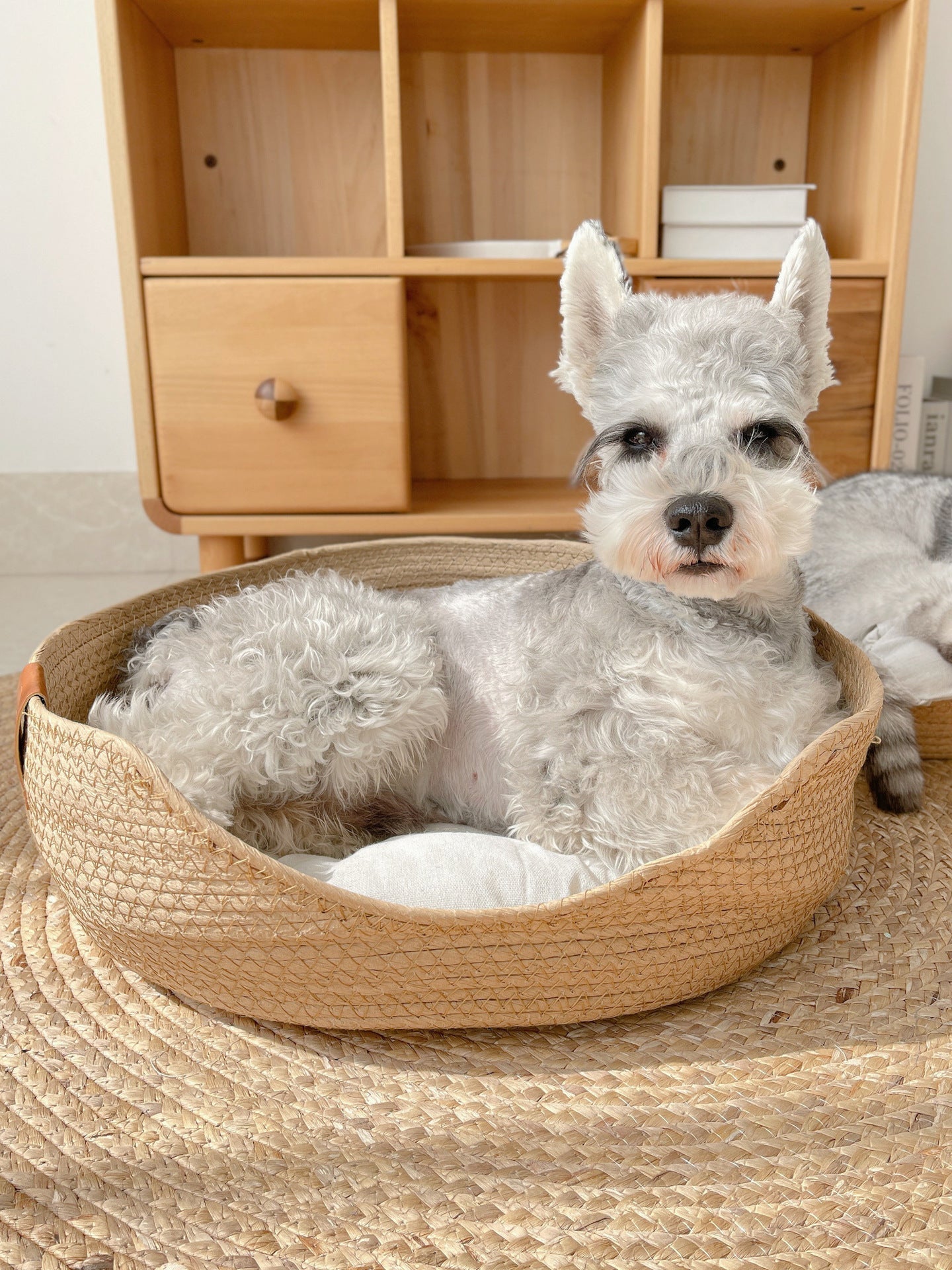 Kattenbed Luxe Donzen Kussen voor Katten
