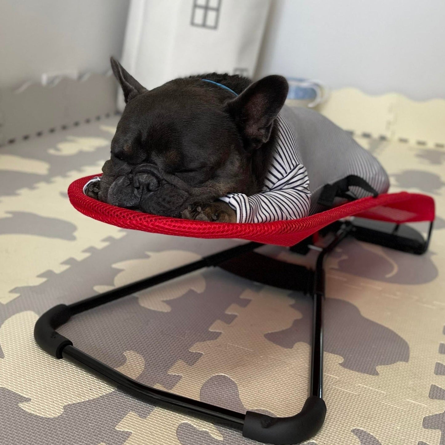 Hondenschommelstoel Luxe Zitplaats voor Honden