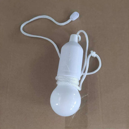 Kleurrijke Hanglamp Draagbaar LED Licht ChromaGlow
