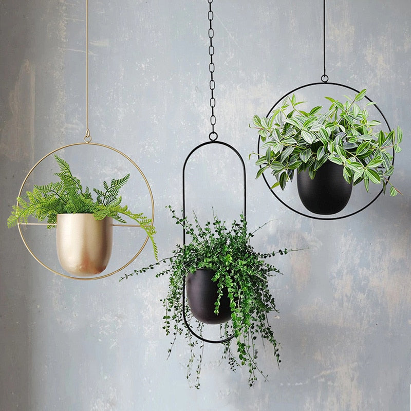 Plantenhanger Binnen en Buiten voor Planten Stijlvol Hangen - Mode Vibes