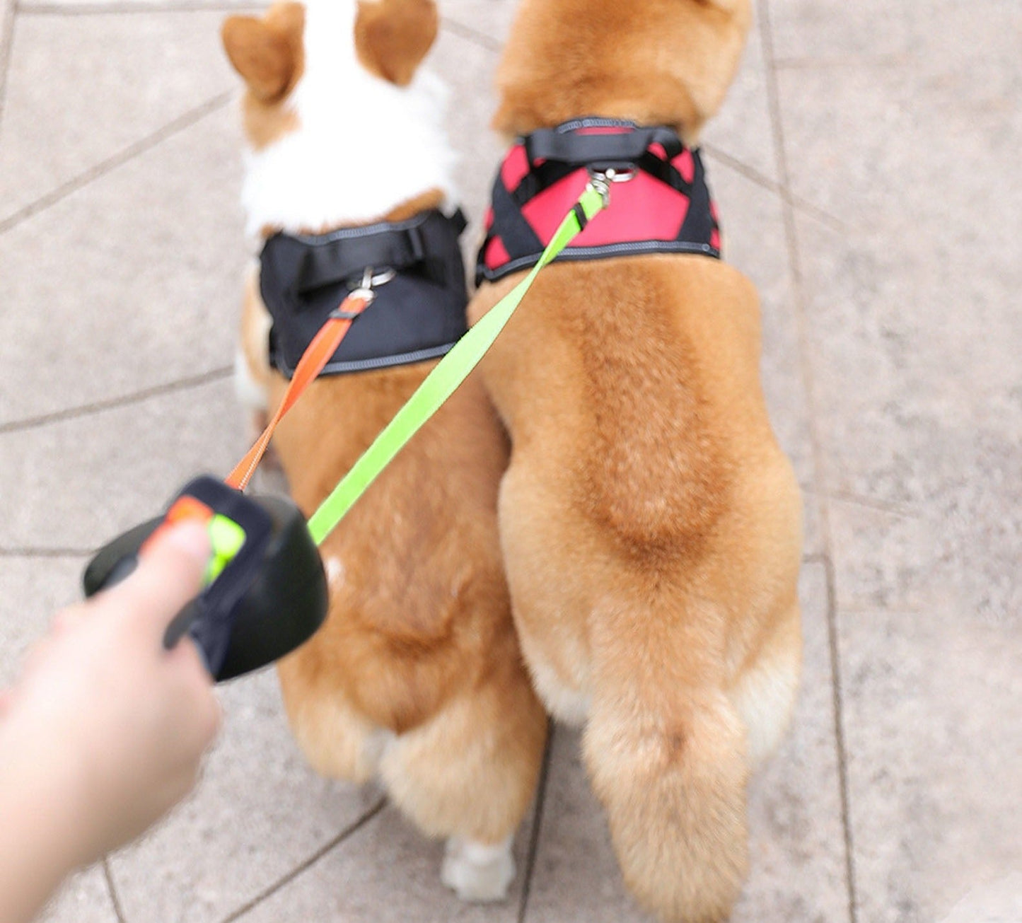 Dubbele Hondenriem voor 2 Honden, Ideaal voor Hondenliefhebbers