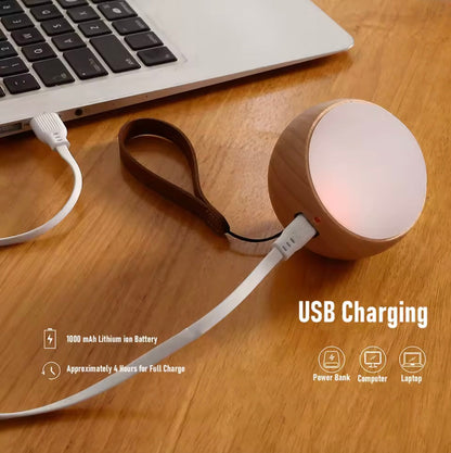 Draadloze designlamp met touchbediening en spraakfunctie