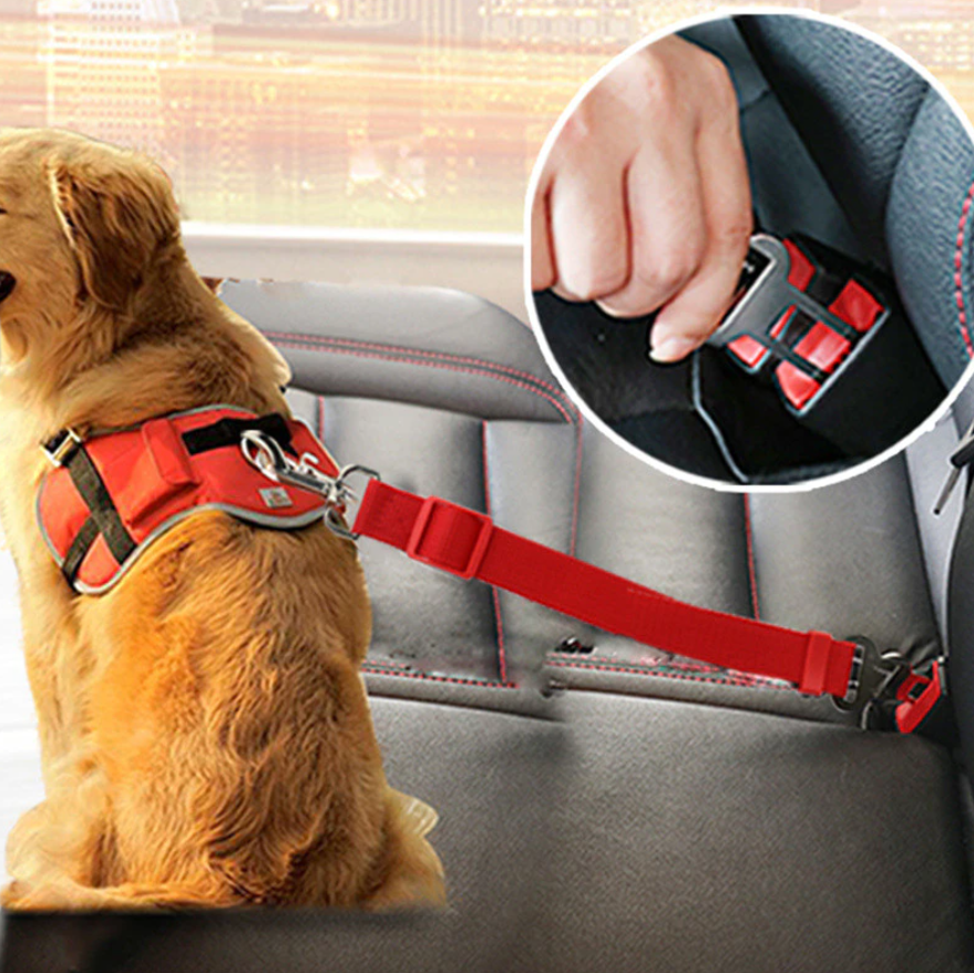 Honden Autoriem Veilig en Comfortabel