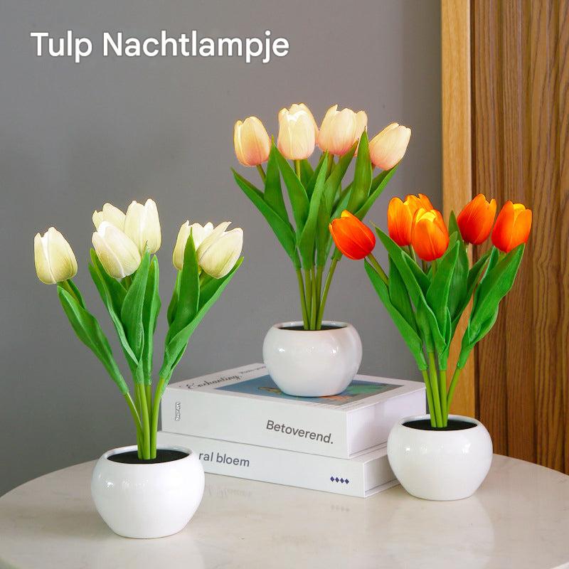 Tulpen Nachtlamp Kleurrijk Dimbaar
