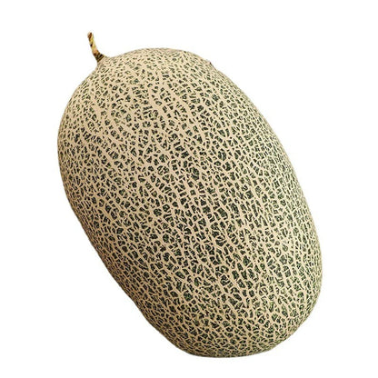 Zachte Pluche Fruit Kussen Cuddle