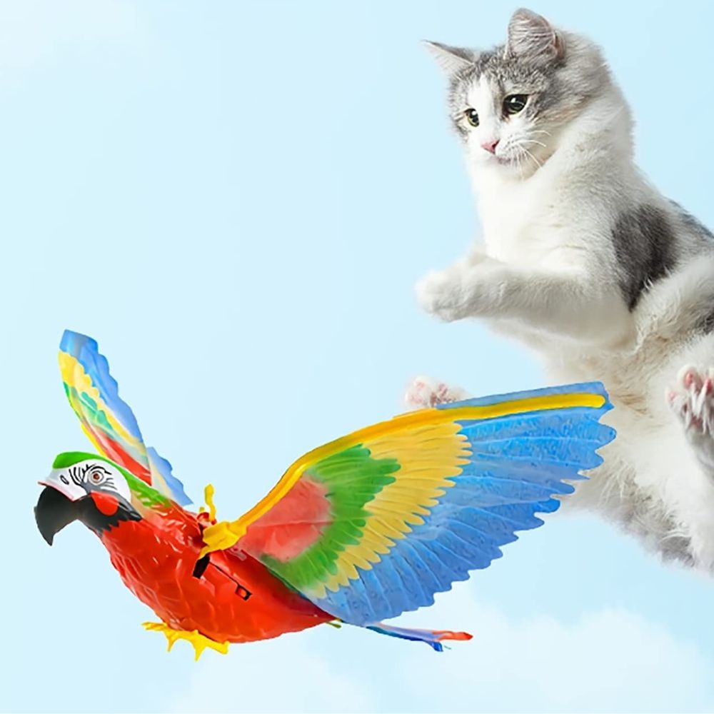 Kattenspeelgoed Interactief met Veer voor Actief Spelen