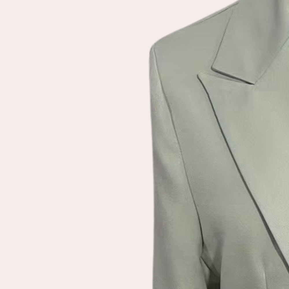 Dames Blazer Pak Tweedelig Klassiek Design