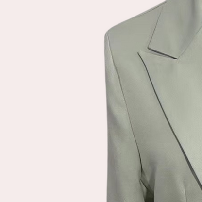 Dames Blazer Pak Tweedelig Klassiek Design