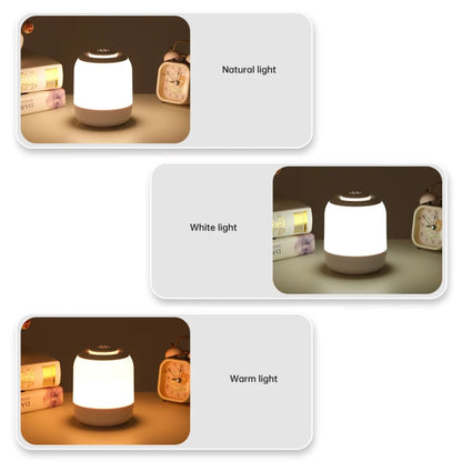 Draagbare Bureaulamp LED Compact en Modern