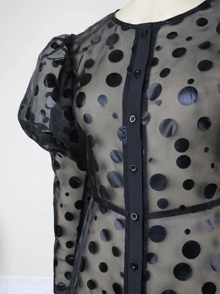 ModeMeester Zwarte A Line Organza Jurk met Lange Mouwen