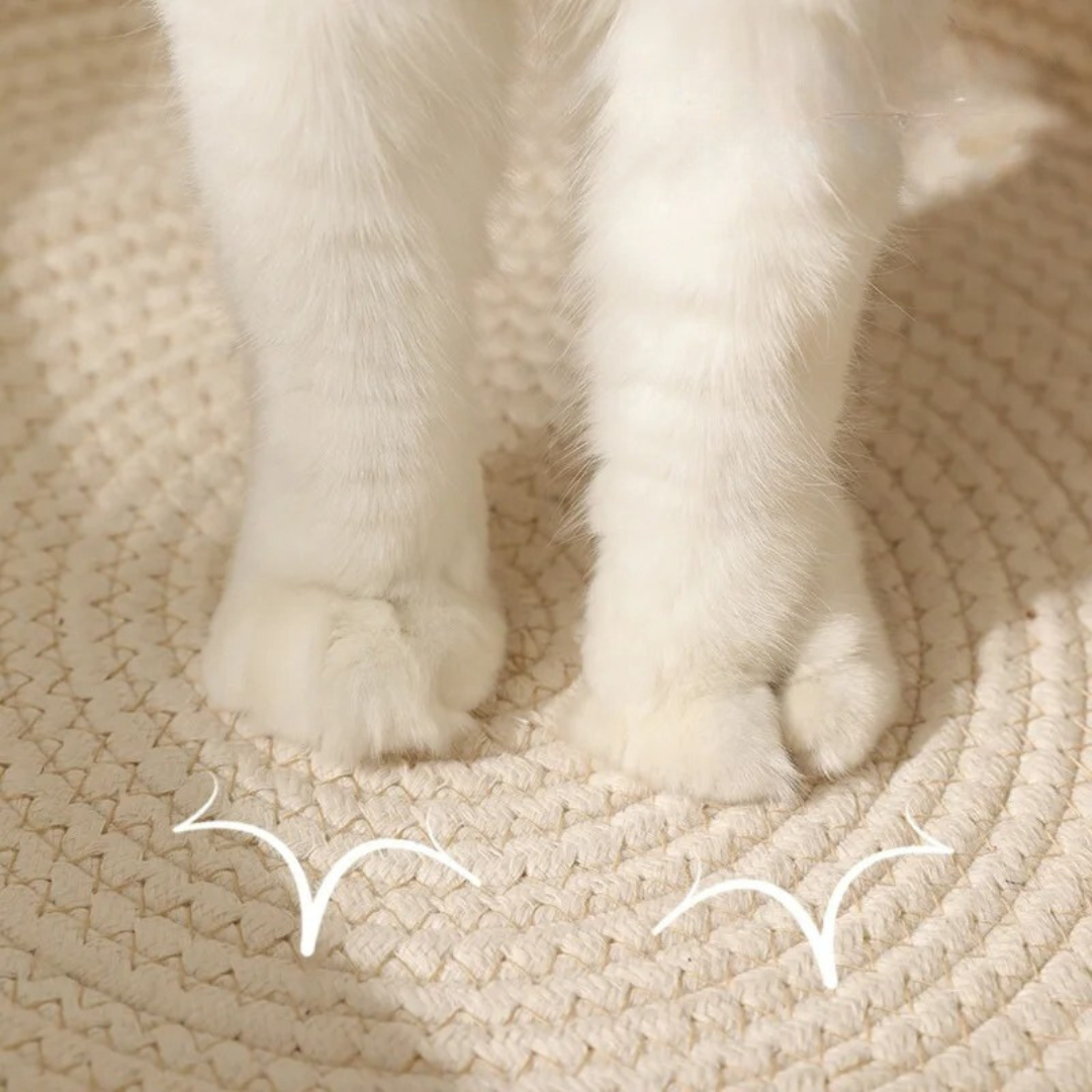 Kattenbed van Katoenen Touw - Zacht en Warm voor Katten