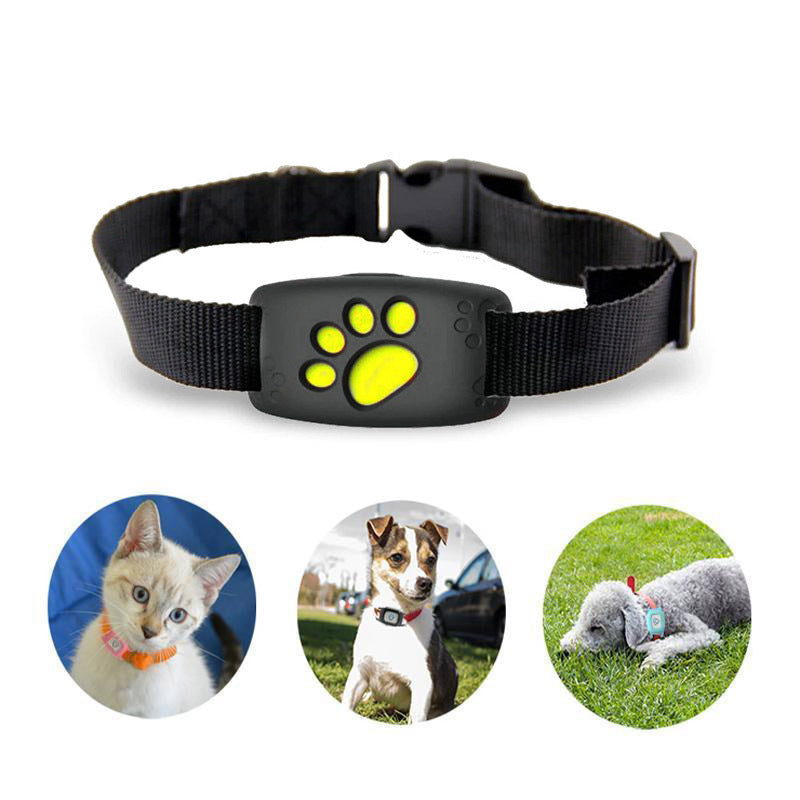 GPS Halsband voor Katten en Honden - Waterdicht en Draadloos