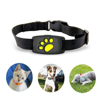 GPS Halsband voor Katten en Honden - Waterdicht en Draadloos