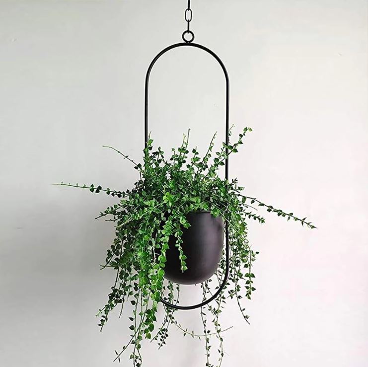 Plantenhanger Binnen en Buiten voor Planten Stijlvol Hangen