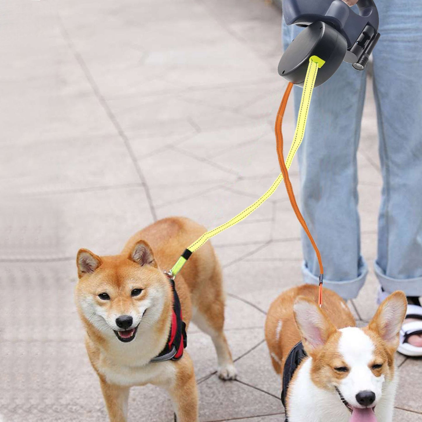 Dubbele Hondenriem voor 2 Honden, Ideaal voor Hondenliefhebbers