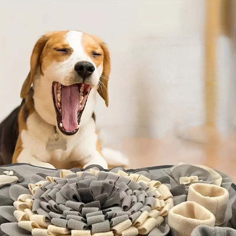 Interactieve Snuffelmat voor Honden Etenstijd