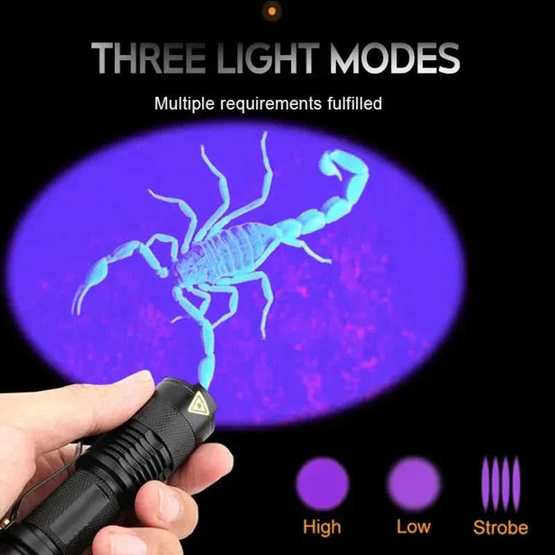 UV Zaklamp voor Urinevlekken en Vloerinspectie