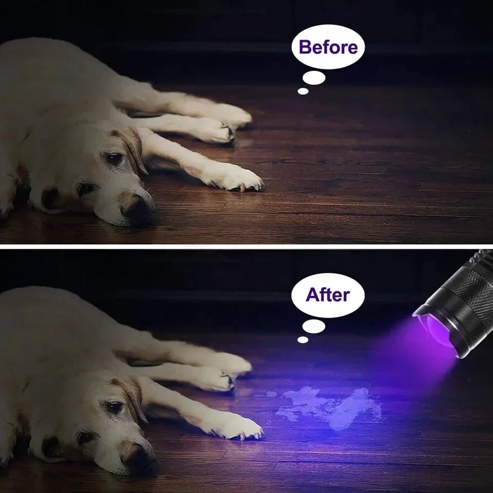 UV Zaklamp voor Urinevlekken en Vloerinspectie
