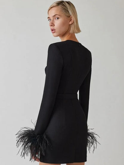 Kort Jurk Elegante Minirok voor Vrouwen met Veer Details