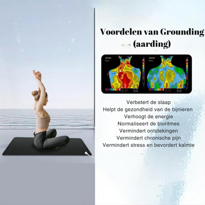 Aardingsmat van Carbonleder Antistatisch Beschermend
