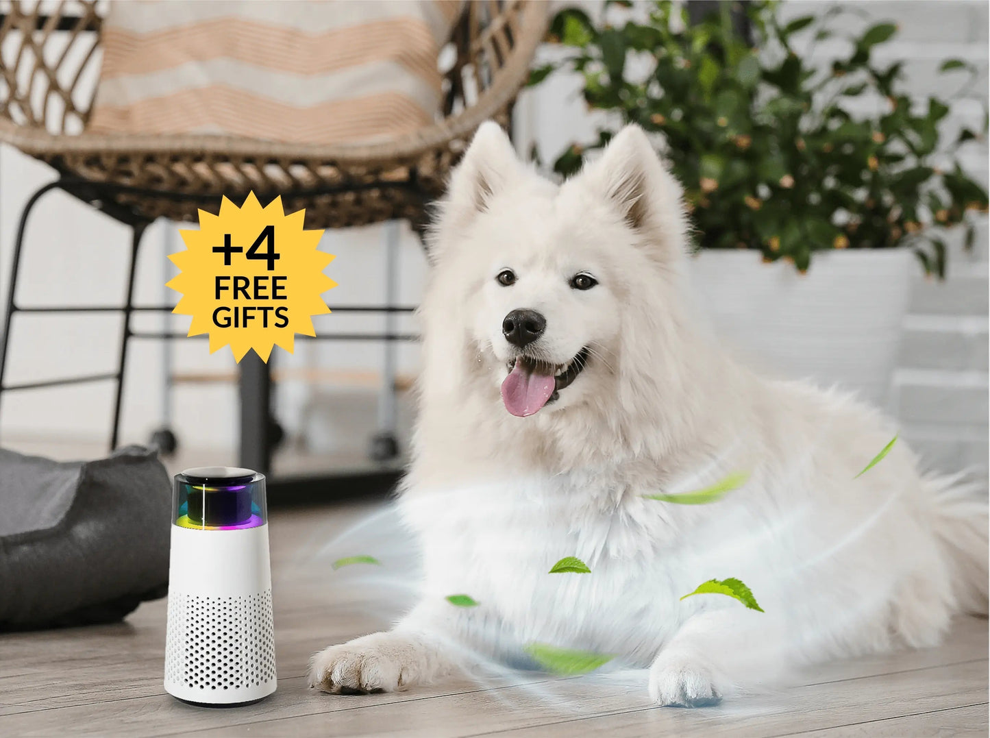 Dierenluchtverfrisser Humidifier voor Huisdieren