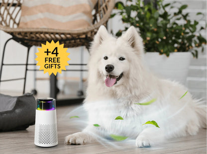 Dierenluchtverfrisser Humidifier voor Huisdieren