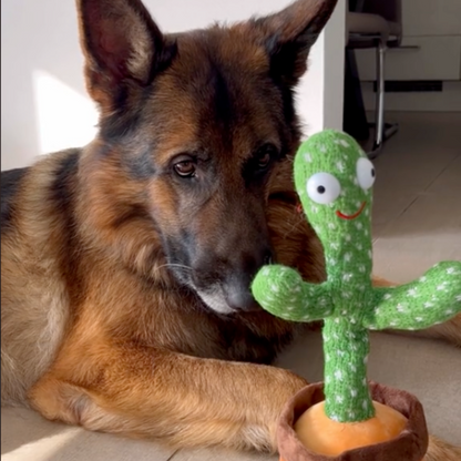 Pratende Cactus Speelgoed met Geluidseffecten - Mode Vibes