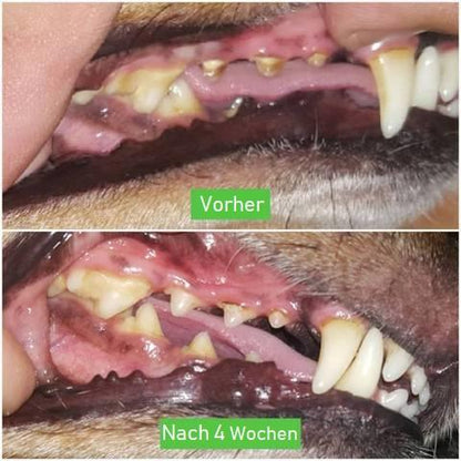 Honden Tandenborstel Zacht voor Gezonde Tanden