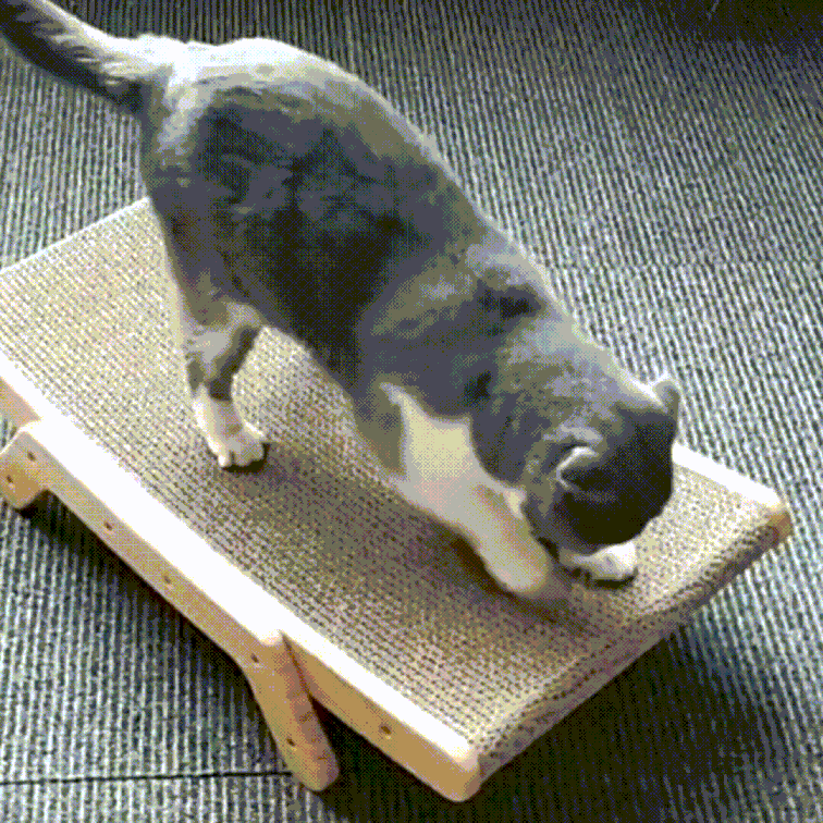 Krabpaal en Ligstoel voor Katten 3-in-1 Design