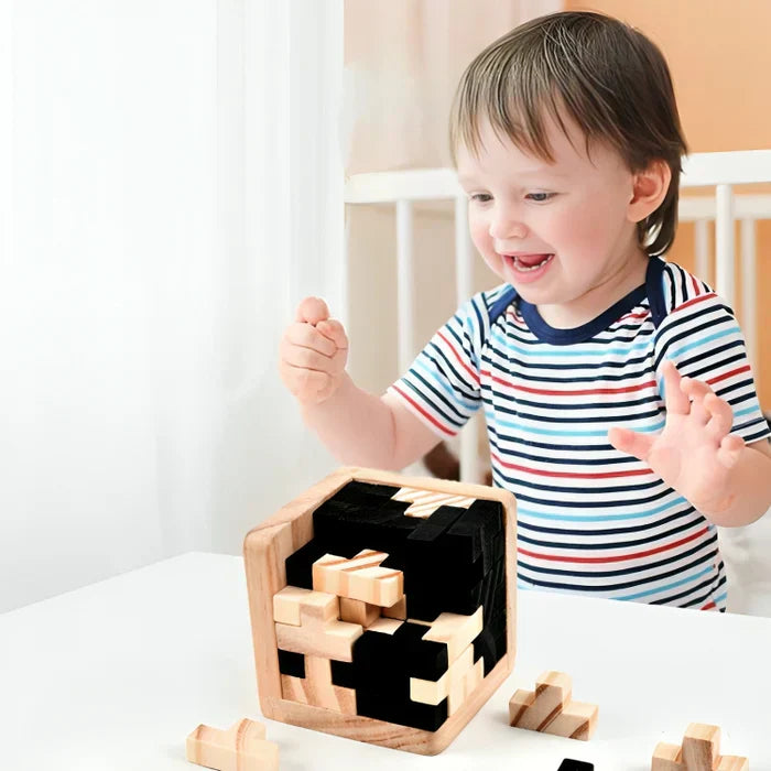 Houten 3D Puzzle Breinbreker voor Volwassenen