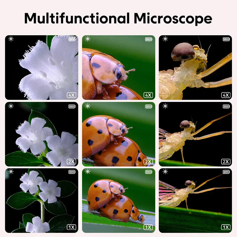 Kindermicroscoop Digitale USB Microscoop voor Kinderen