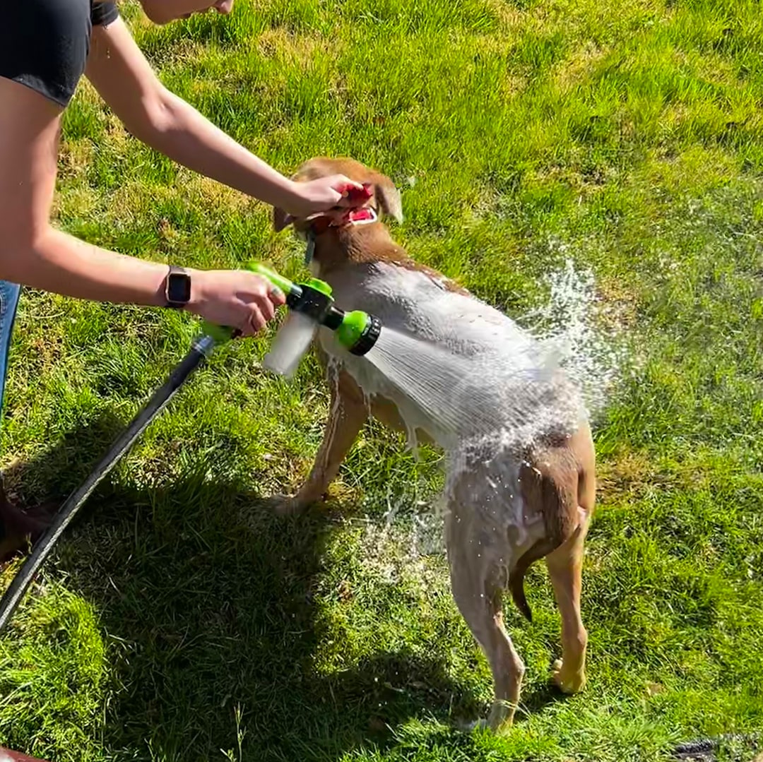 Honden Doucheset met Sproeier voor Gemakkelijk Wassen