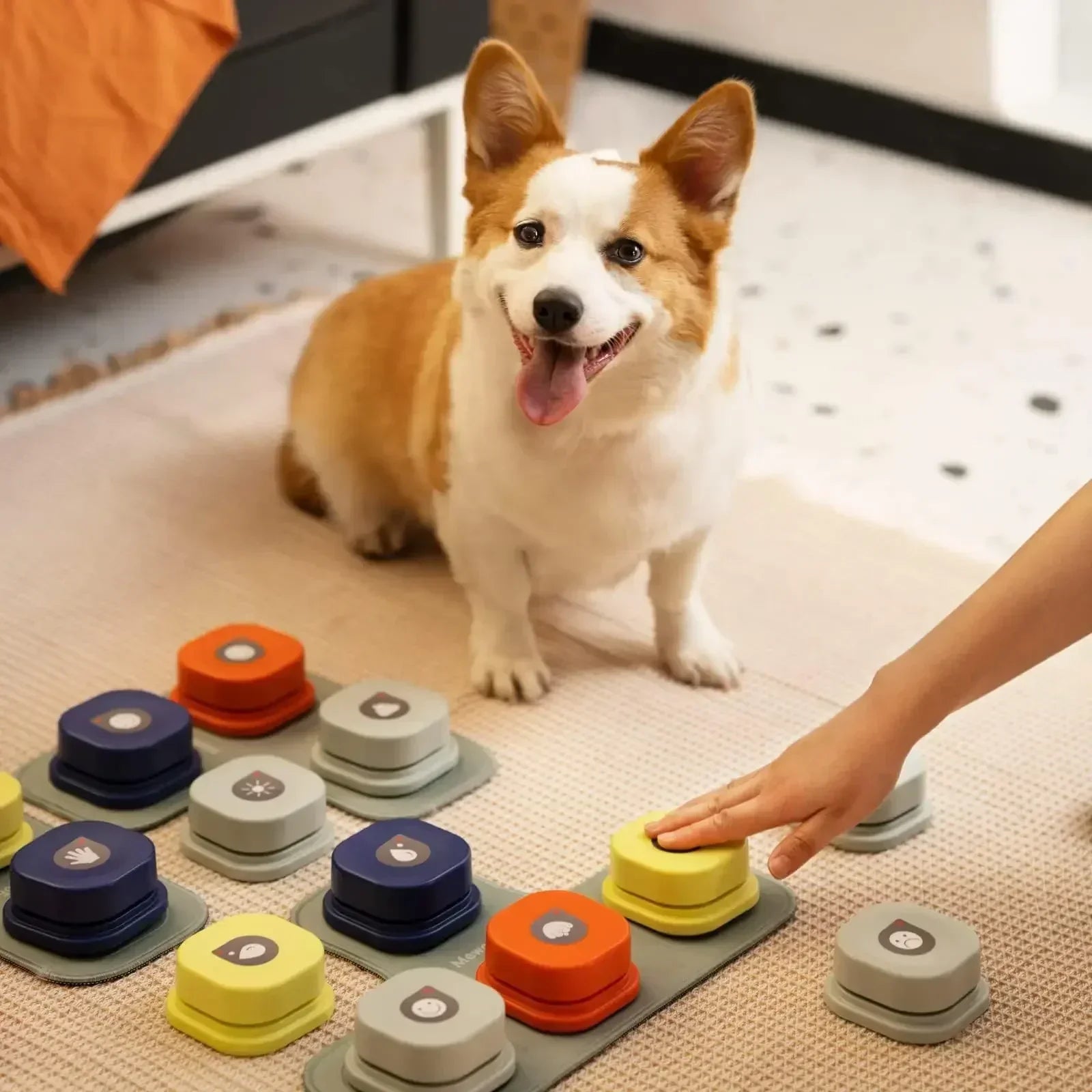 Hond Communicatie Knoppen Set Trainen en Praten met Je Hond - Mode Vibes