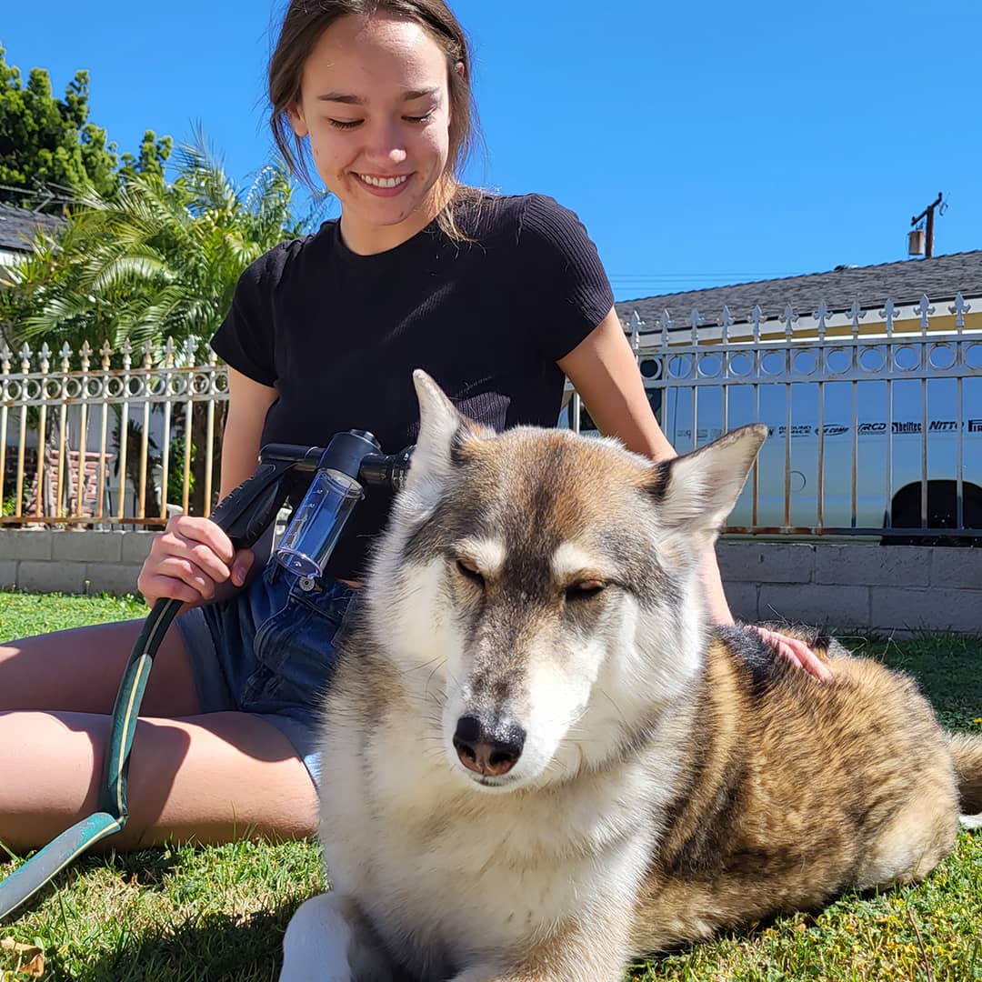 Honden Doucheset met Sproeier voor Gemakkelijk Wassen