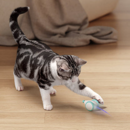 Kattenspeelgoed Kauwbestendig Speeltje voor Katten WhiskerPlay - Mode Vibes