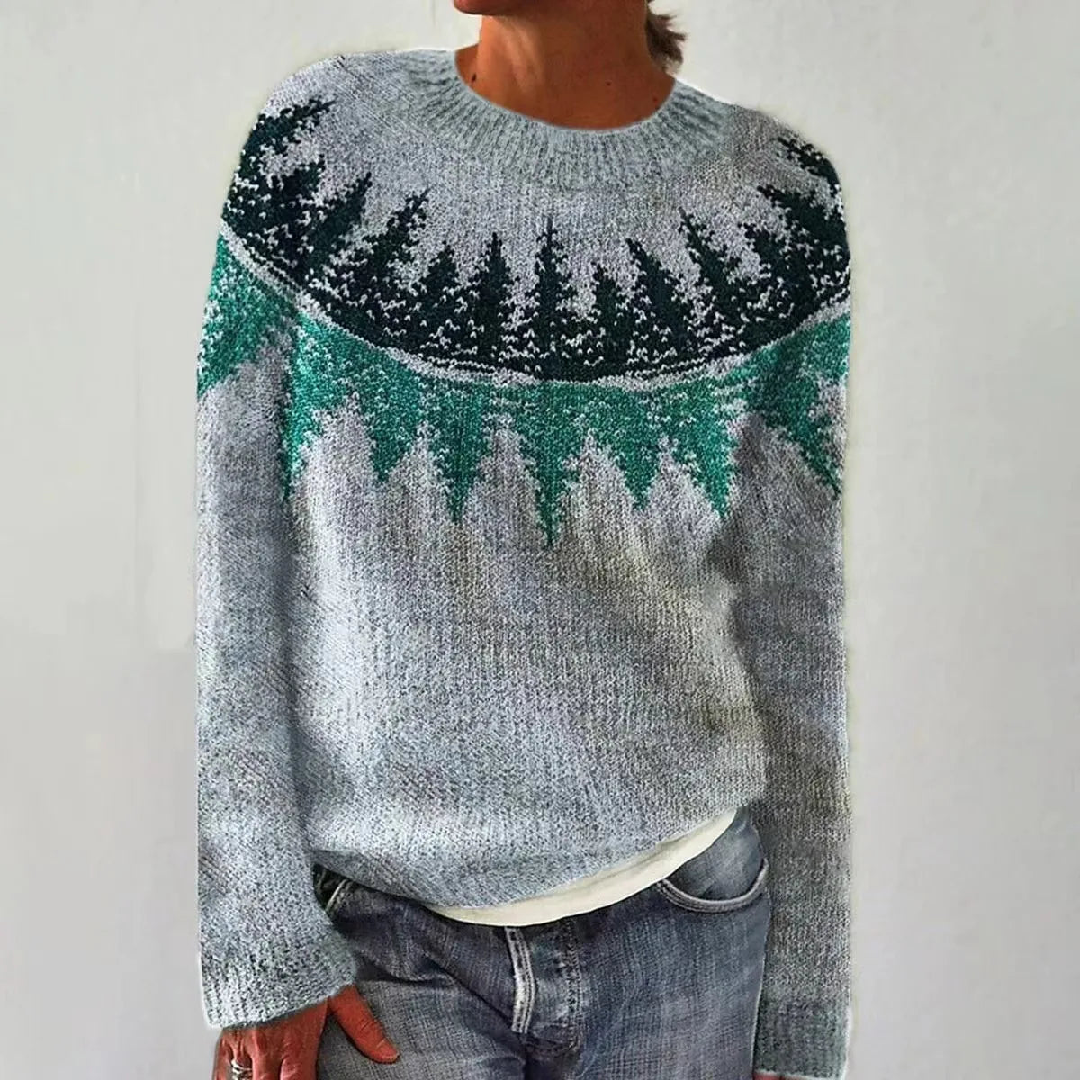 Gebreide Trui Scandinavisch Patroon Kleurrijk Warm