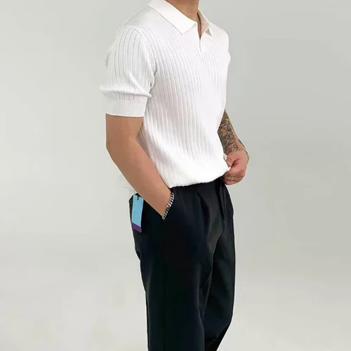 Mannen Poloshirt Korte Mouwen Geribd Casuel Stijl