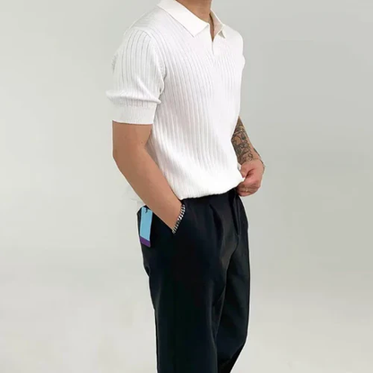 Mannen Poloshirt Korte Mouwen Geribd Casuel Stijl