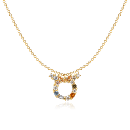 Sterrenbeeld Ketting Zilveren Halsketting Met Celestia Thema